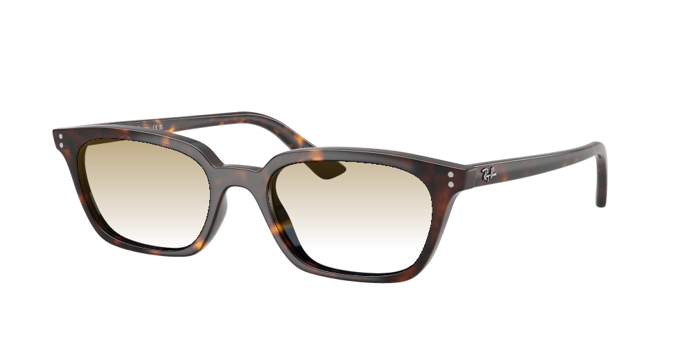 Ray-Ban RB4456 135980 Zaya Ray-Ban RB4456 135980 Zaya