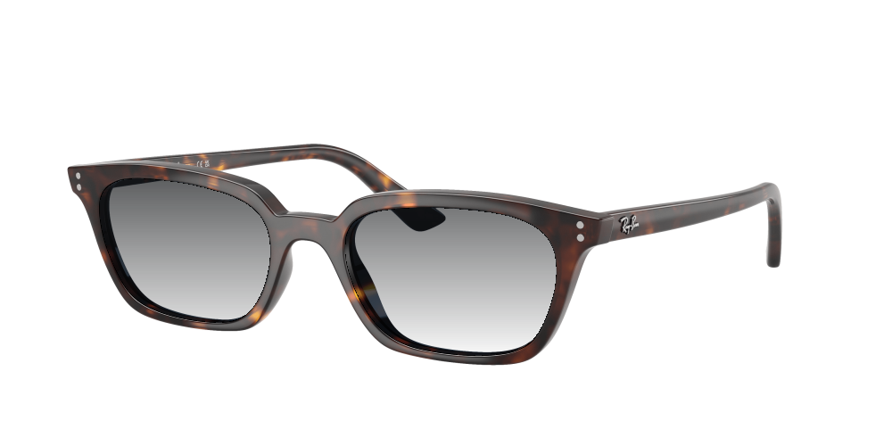 Ray-Ban RB4456 135980 Zaya Ray-Ban RB4456 135980 Zaya