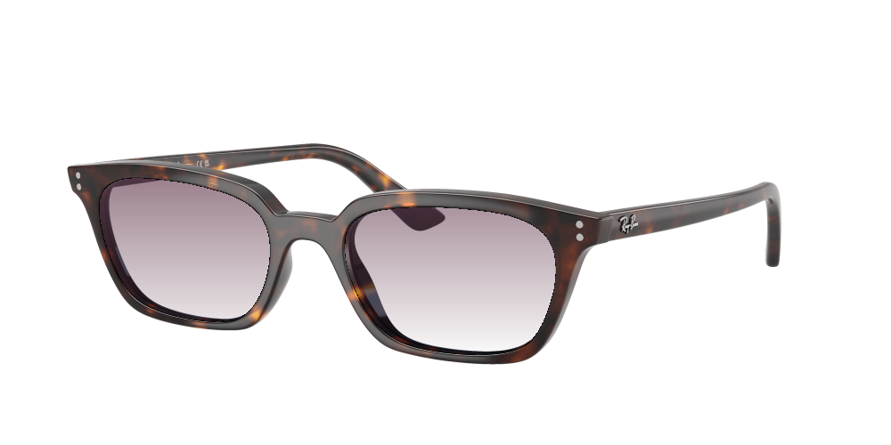 Ray-Ban RB4456 135980 Zaya Ray-Ban RB4456 135980 Zaya