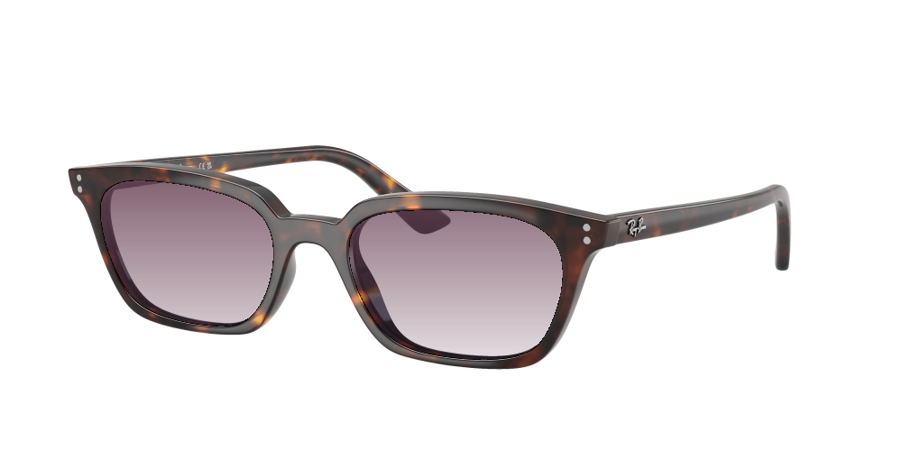 Ray-Ban RB4456 135980 Zaya Ray-Ban RB4456 135980 Zaya