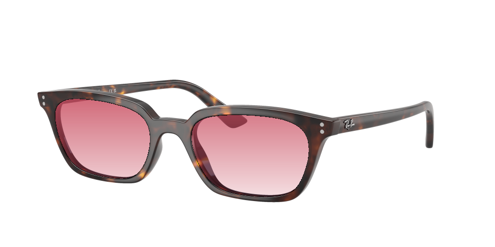 Ray-Ban RB4456 135980 Zaya Ray-Ban RB4456 135980 Zaya