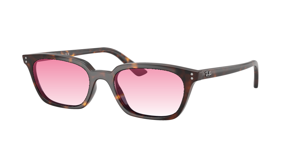 Ray-Ban RB4456 135980 Zaya Ray-Ban RB4456 135980 Zaya