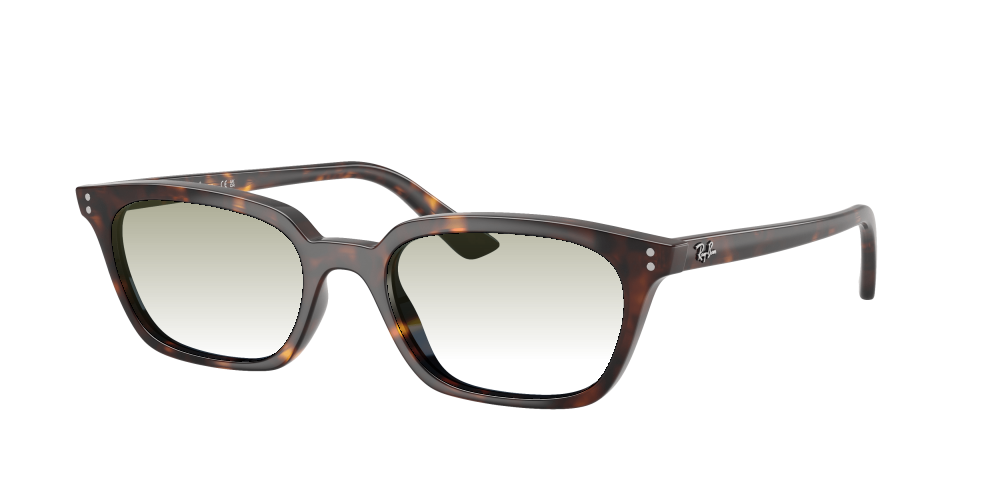 Ray-Ban RB4456 135980 Zaya Ray-Ban RB4456 135980 Zaya