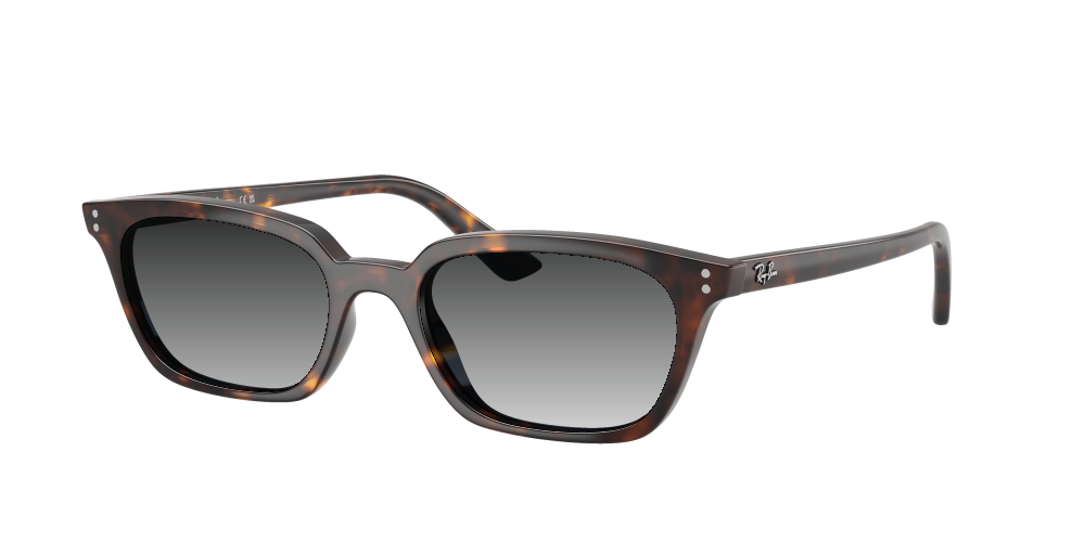 Ray-Ban RB4456 135980 Zaya Ray-Ban RB4456 135980 Zaya