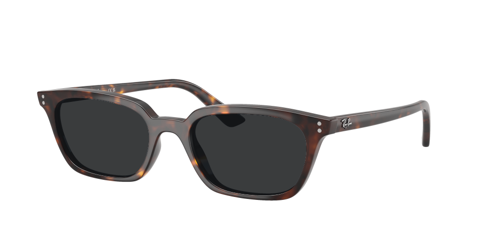 Ray-Ban RB4456 135980 Zaya Ray-Ban RB4456 135980 Zaya