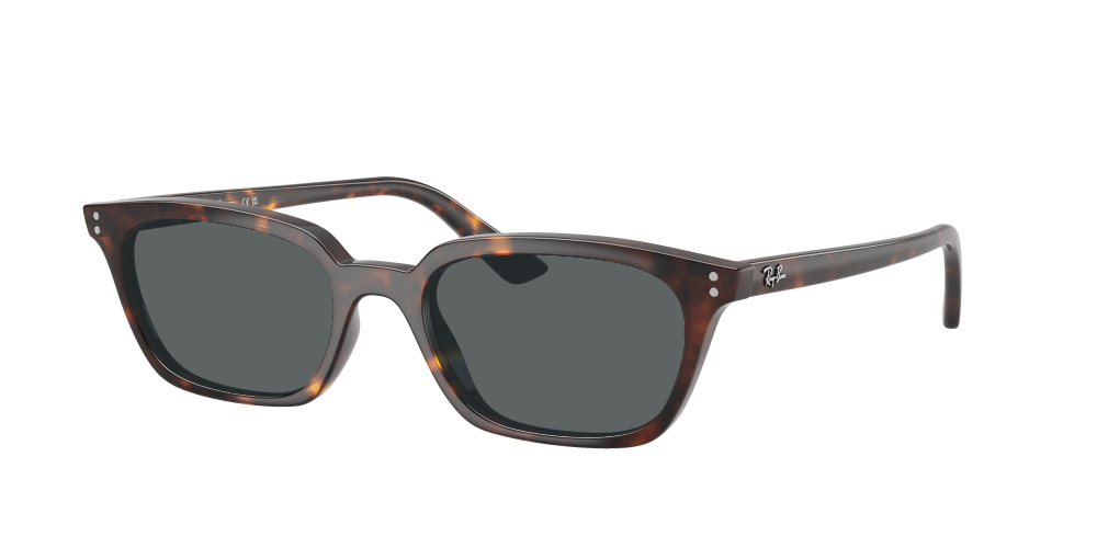 Ray-Ban RB4456 135980 Zaya Ray-Ban RB4456 135980 Zaya