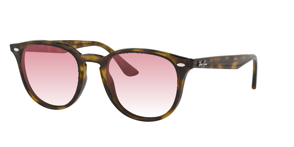 Ray Ban RB4259 710/73 Ray Ban RB4259 710/73