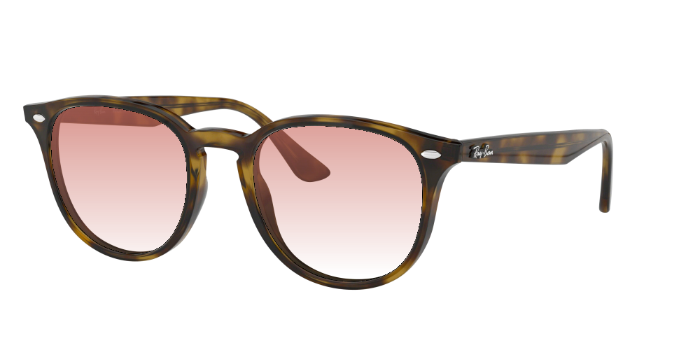 Ray Ban RB4259 710/73 Ray Ban RB4259 710/73