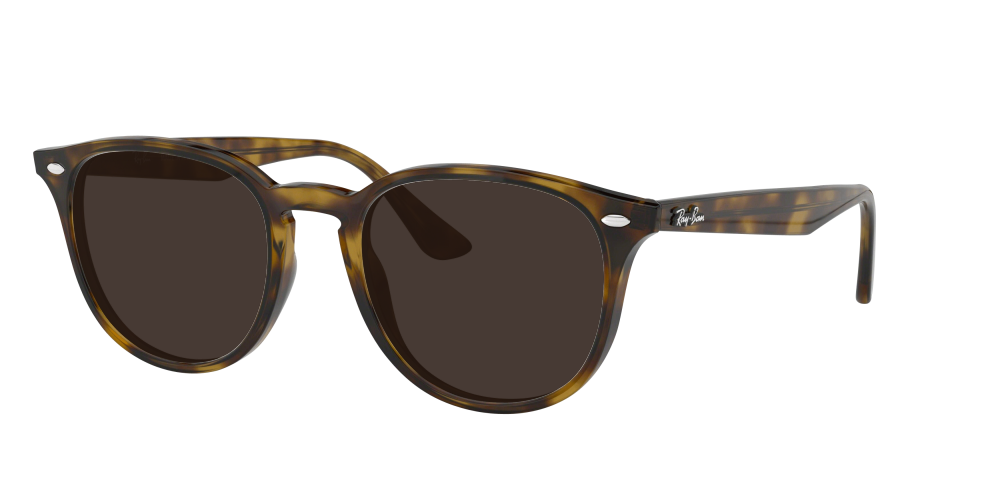 Ray Ban RB4259 710/73 Ray Ban RB4259 710/73