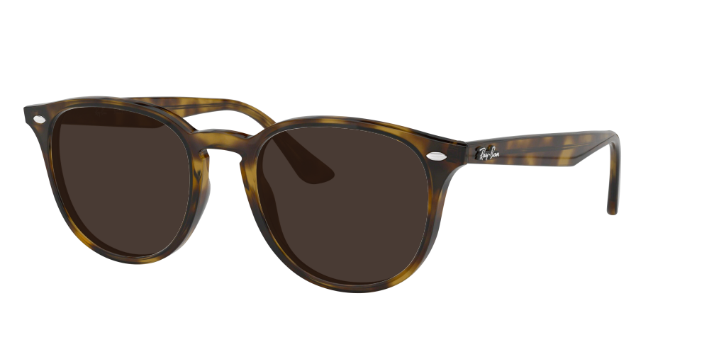 Ray Ban RB4259 710/73 Ray Ban RB4259 710/73